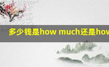 多少钱是how much还是how many